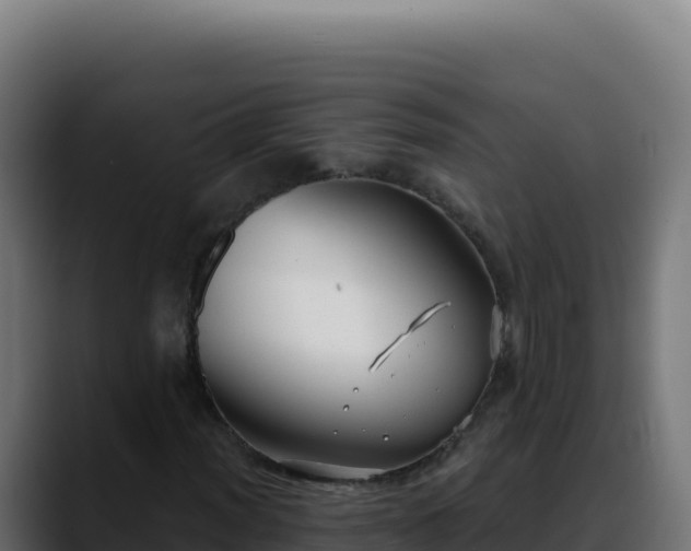 X0000088391012200705291403