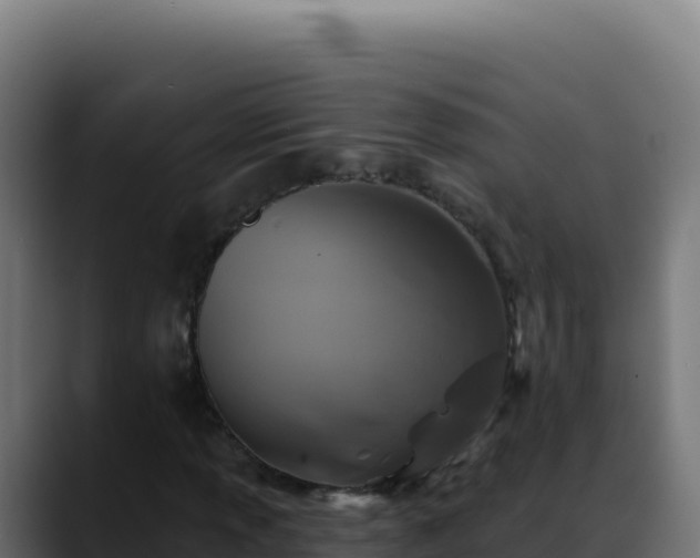 X0000088391013200705291403