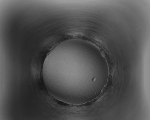 X0000088391014200705291403