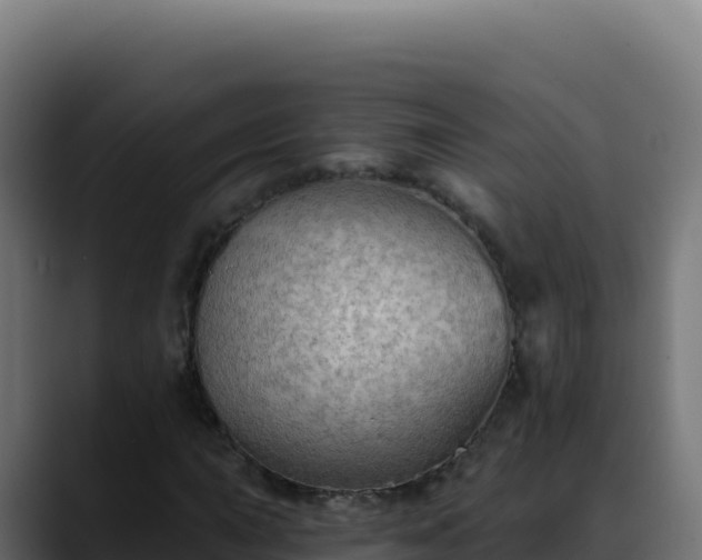 X0000088391015200705291403