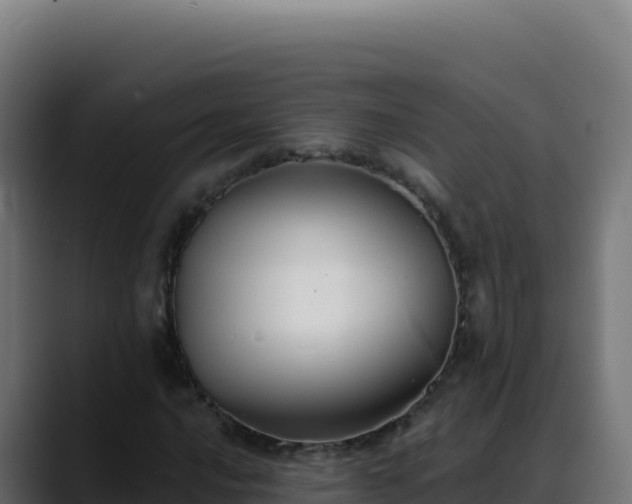 X0000088391016200705291403