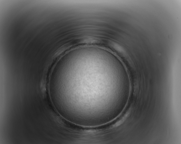 X0000088391017200705291404