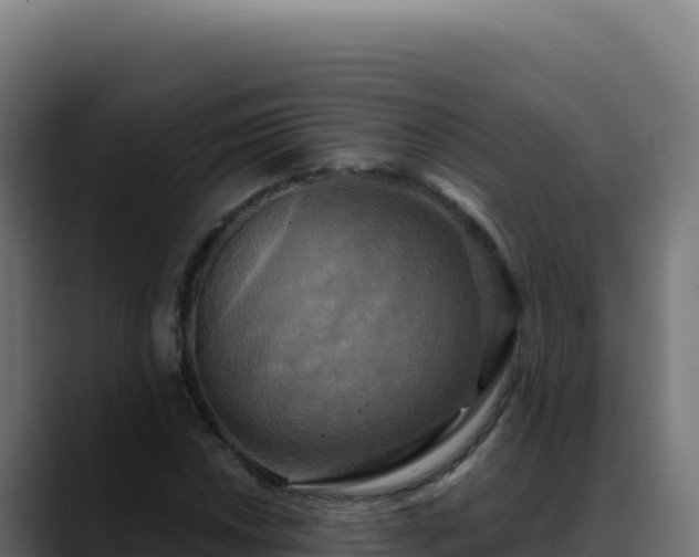 X0000088391018200705291404