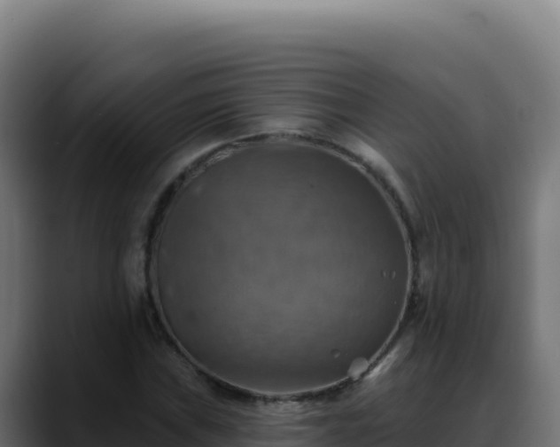 X0000088391019200705291404