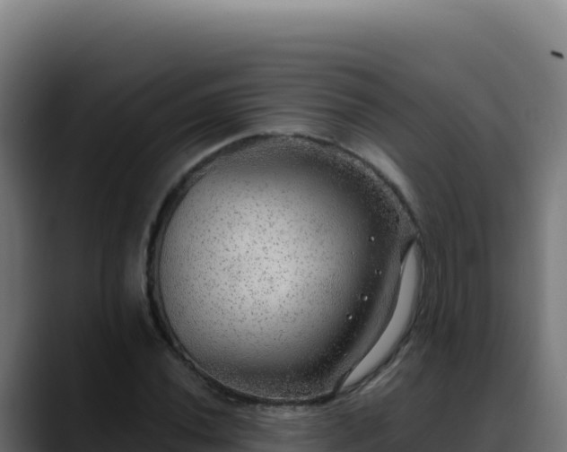 X0000088391020200705291404