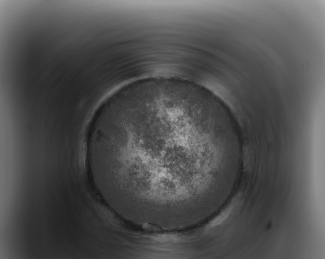 X0000088391021200705291404