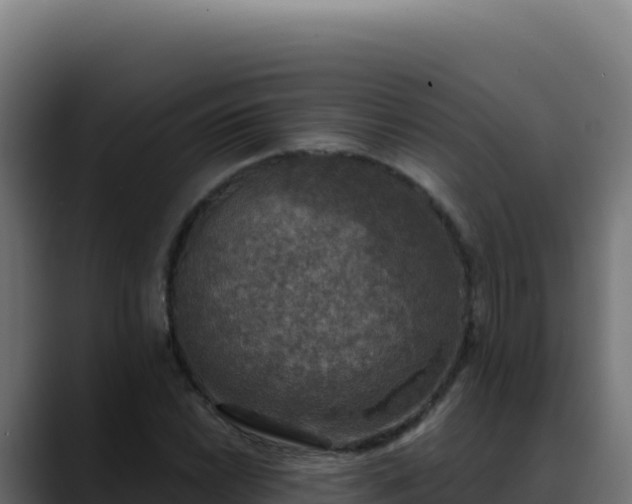 X0000088391022200705291404