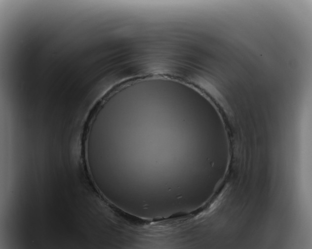 X0000088391023200705291404