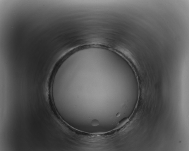 X0000088391024200705291404