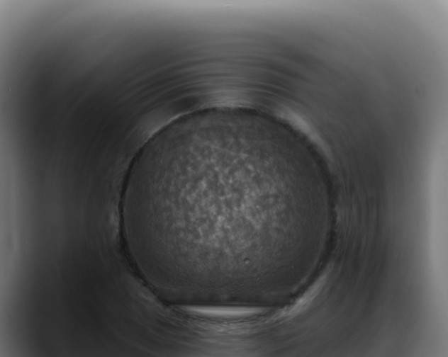 X0000088391025200705291404