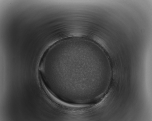 X0000088391026200705291404