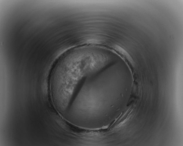 X0000088391027200705291404