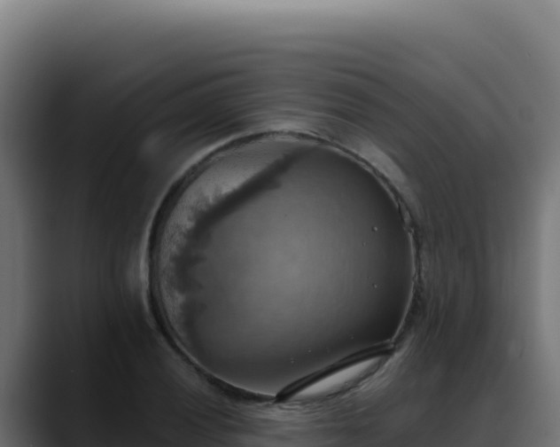 X0000088391028200705291404