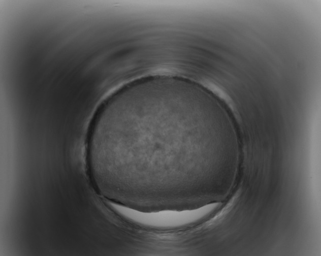 X0000088391029200705291404