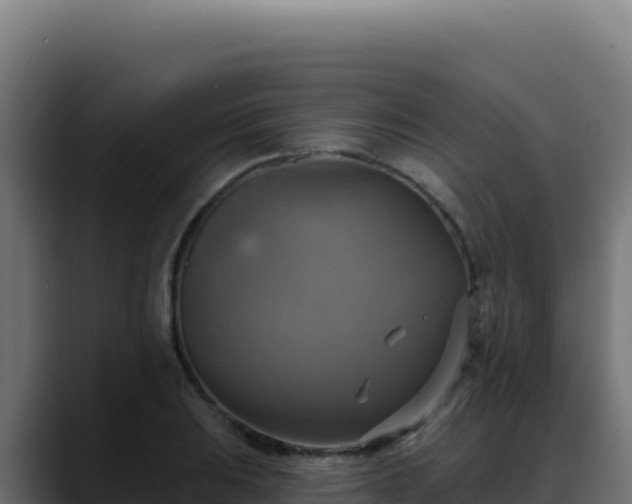 X0000088391031200705291404