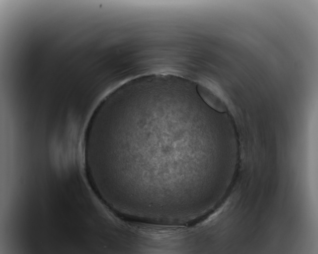 X0000088391032200705291404