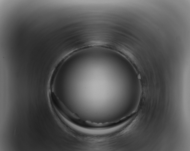 X0000088391034200705291404