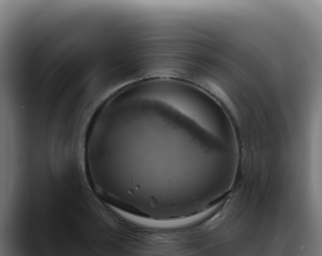 X0000088391035200705291404