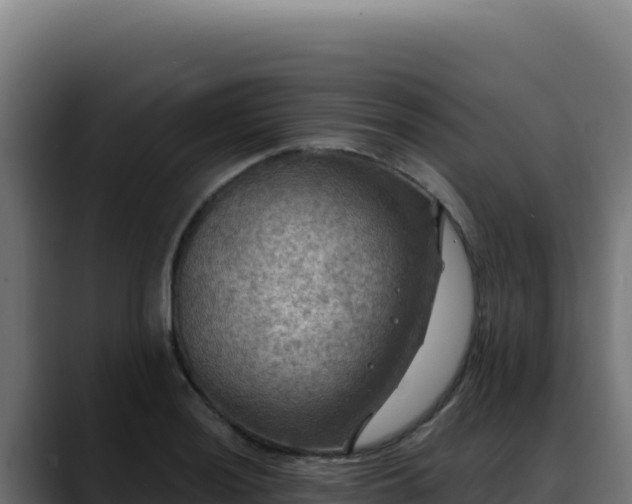 X0000088391036200705291404