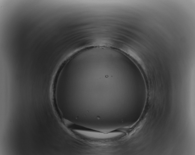 X0000088391037200705291404