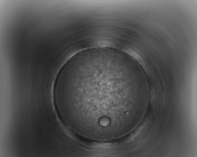 X0000088391039200705291404