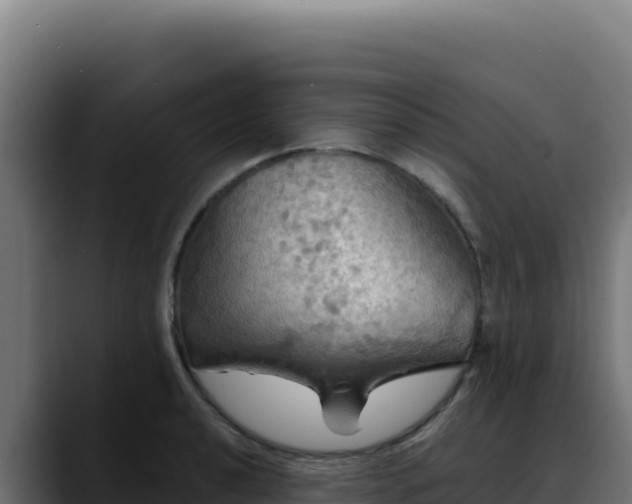 X0000088391040200705291404