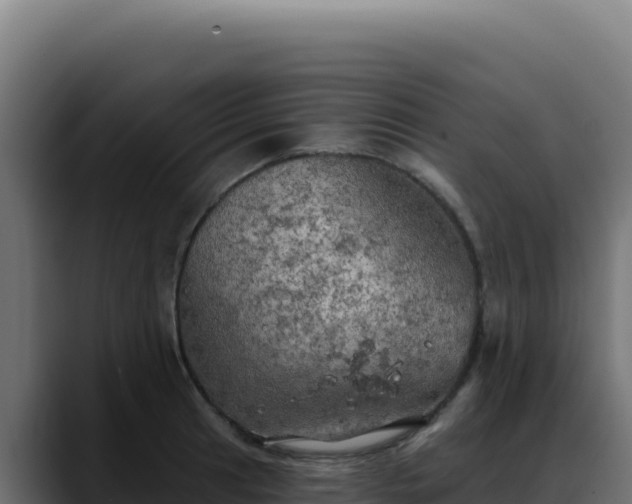 X0000088391041200705291404