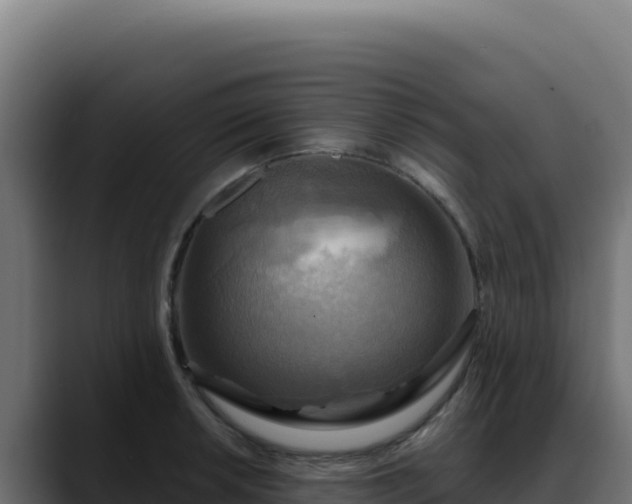 X0000088391042200705291404