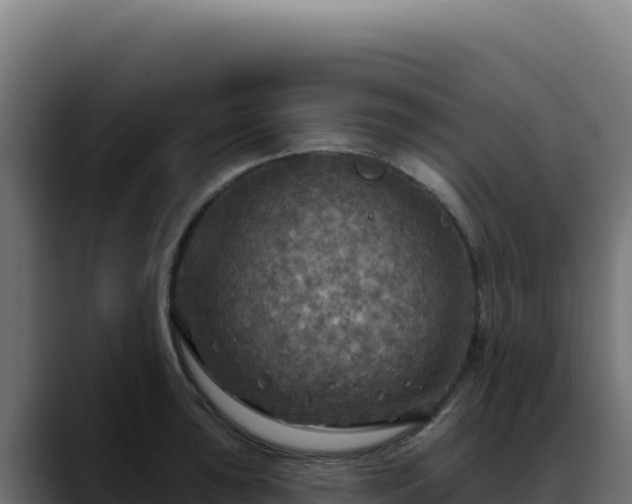 X0000088391043200705291404