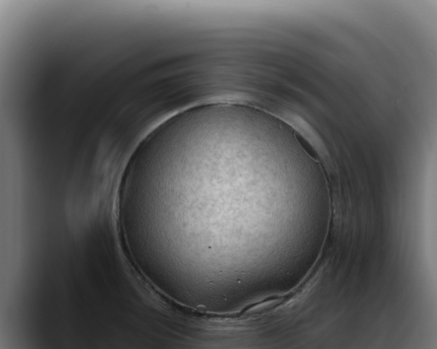 X0000088391044200705291404