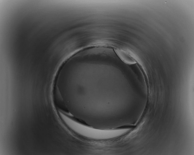 X0000088391045200705291404