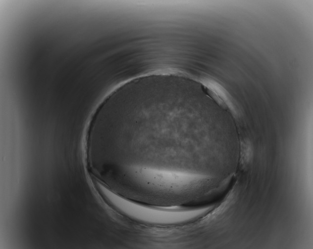 X0000088391046200705291404