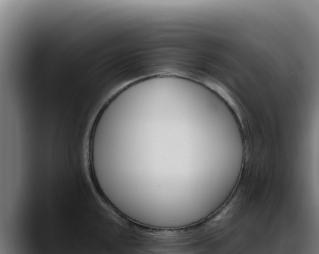 X0000088391048200705291404