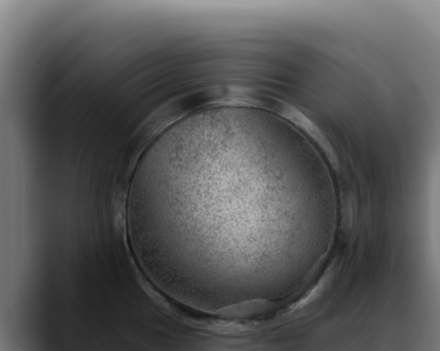 X0000088391049200705291404