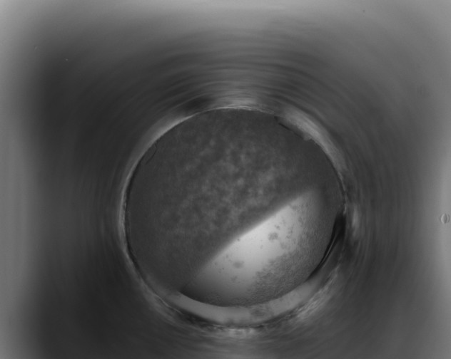 X0000088391050200705291404