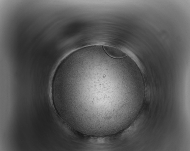 X0000088391051200705291404