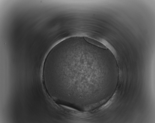 X0000088391052200705291404