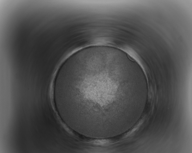 X0000088391053200705291404