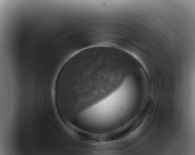 X0000088391054200705291404