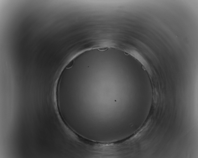 X0000088391055200705291404