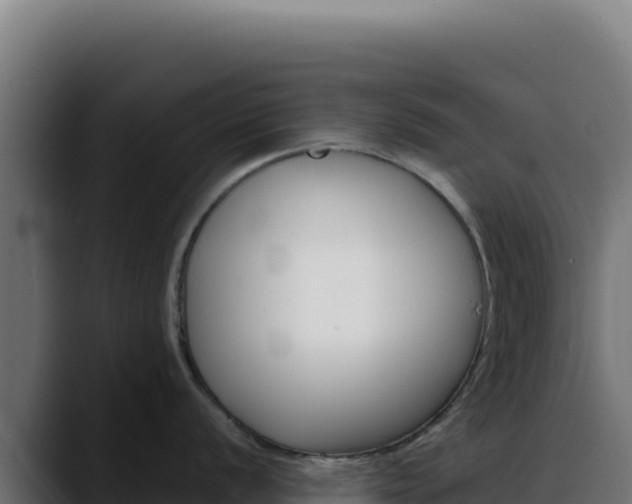 X0000088391056200705291404