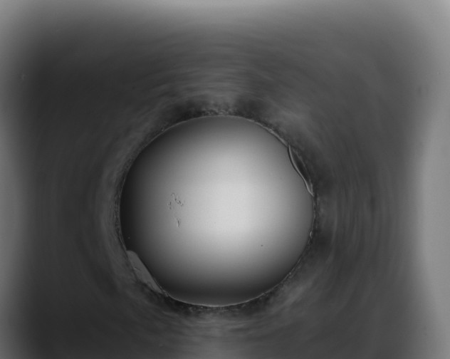 X0000088391057200705291403