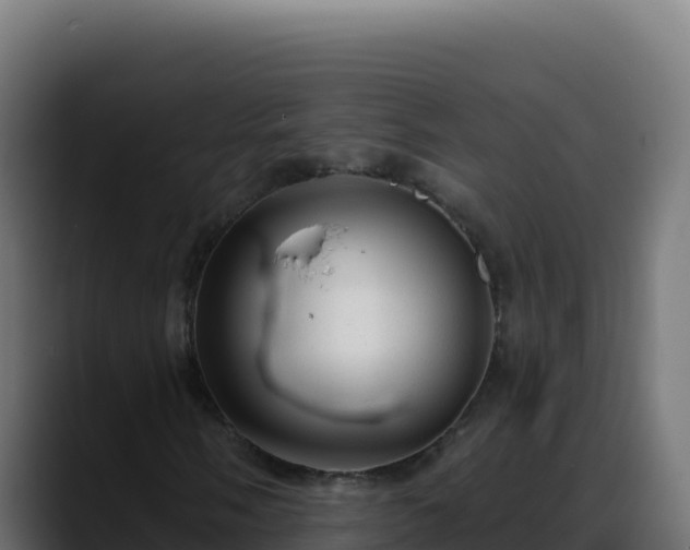 X0000088391058200705291403