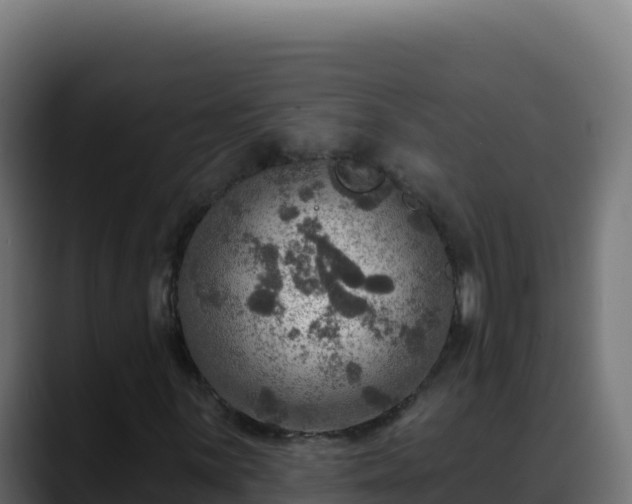 X0000088391059200705291403