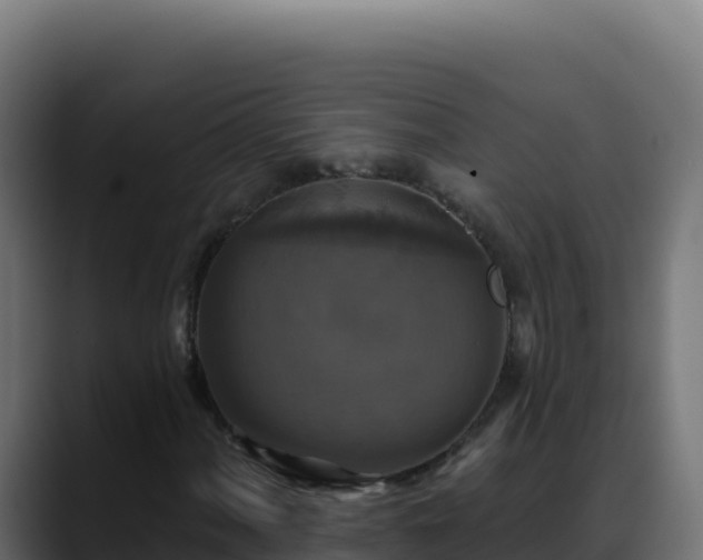 X0000088391060200705291403