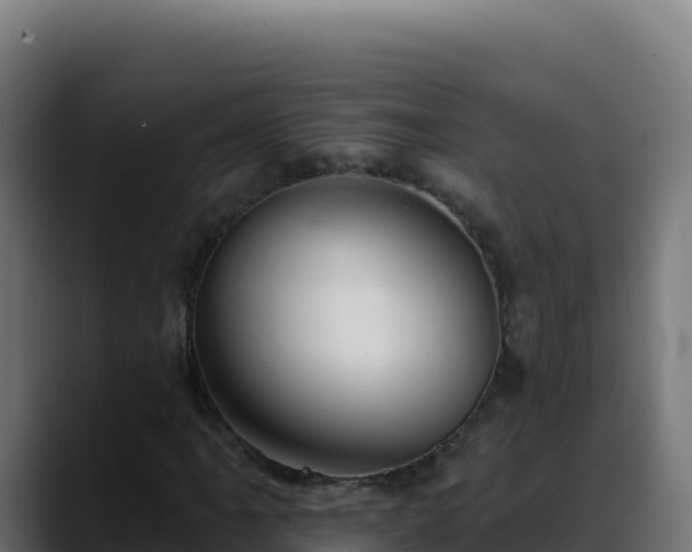 X0000088391061200705291403