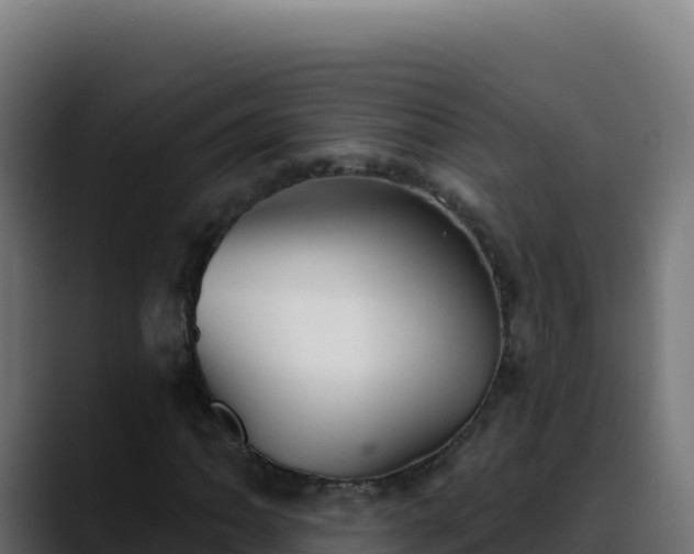 X0000088391062200705291403