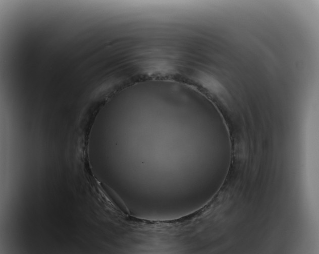 X0000088391063200705291403