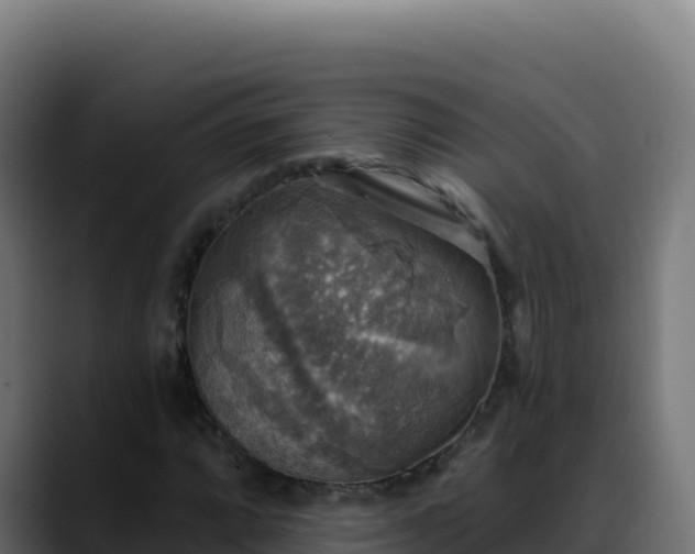 X0000088391064200705291403