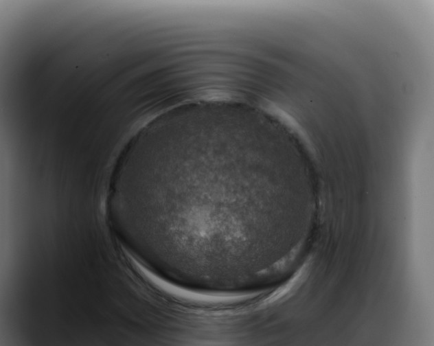 X0000088391065200705291403